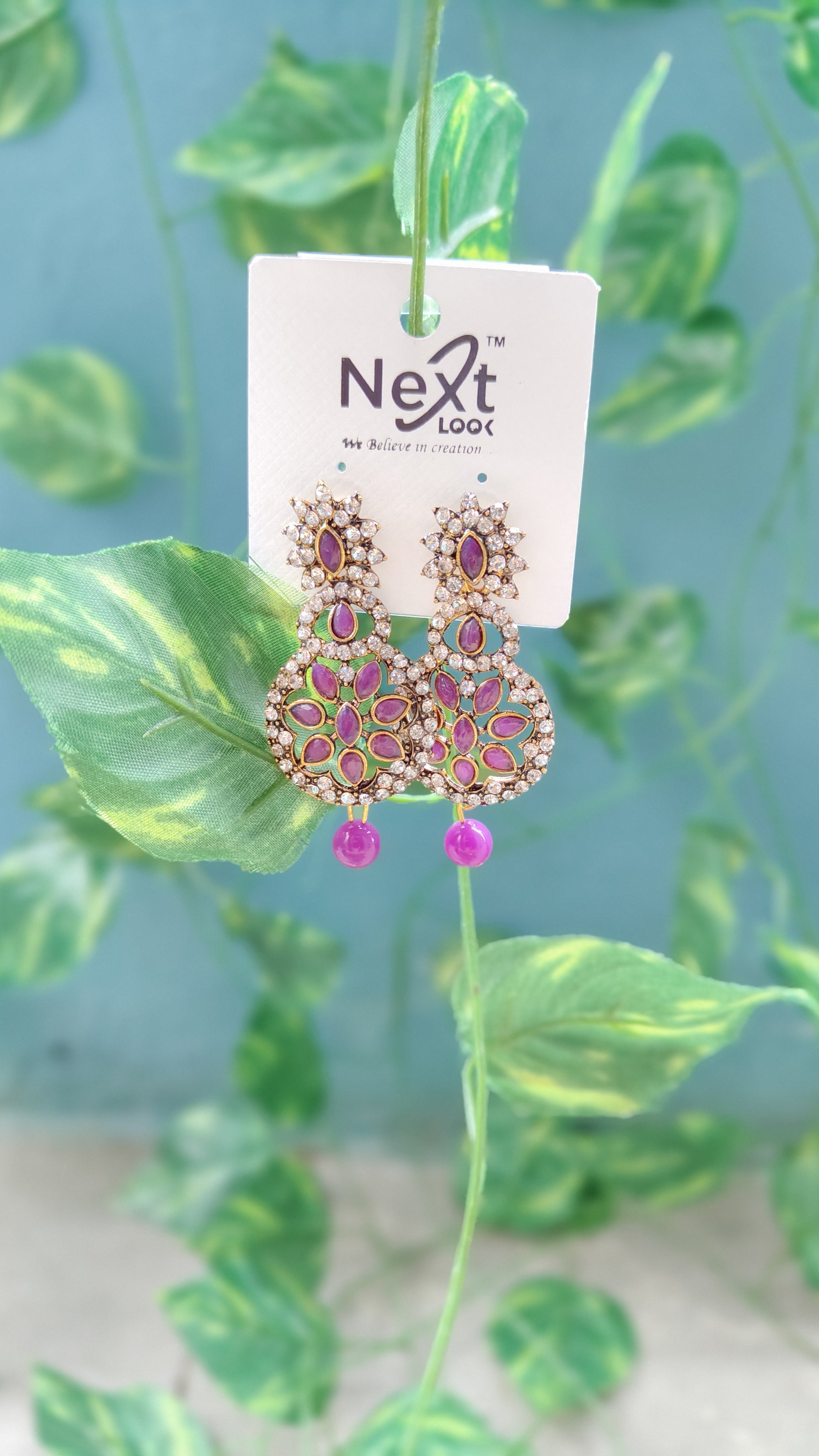 Earrings