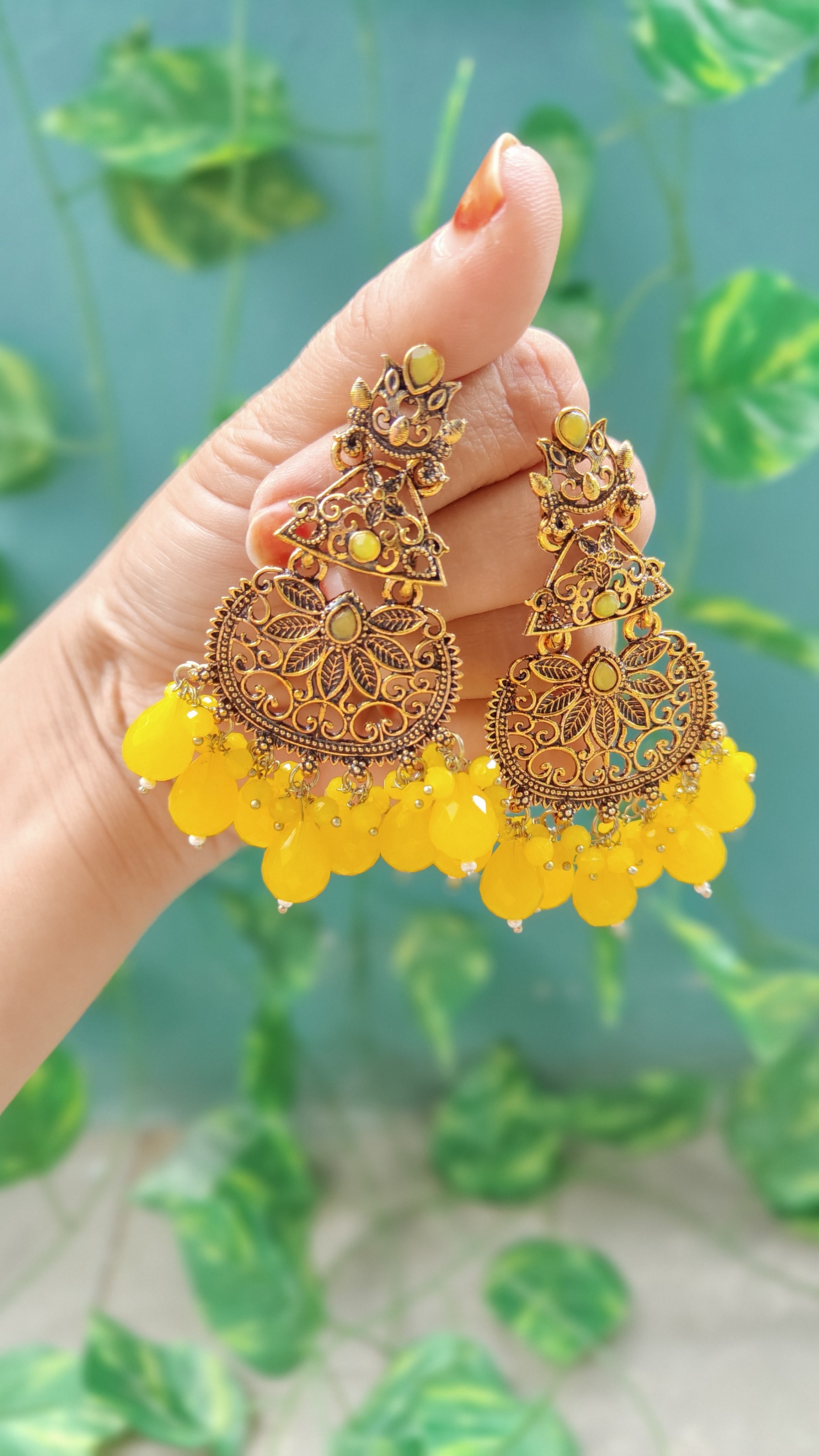 Earrings