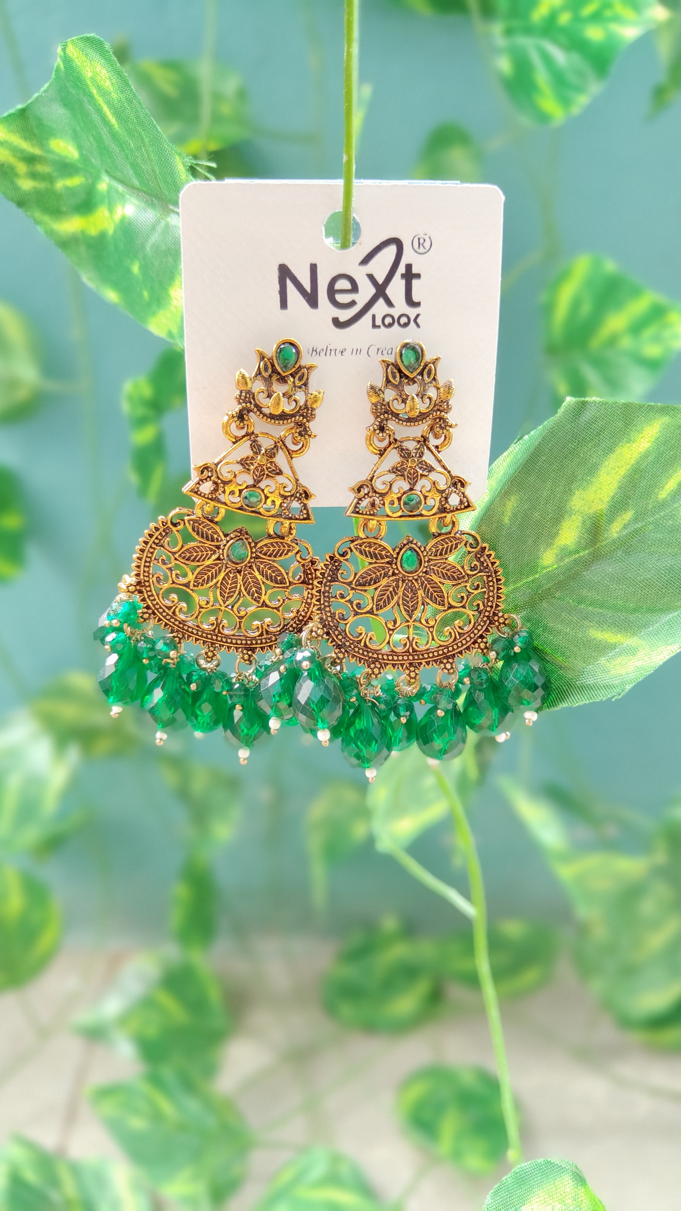 Earrings