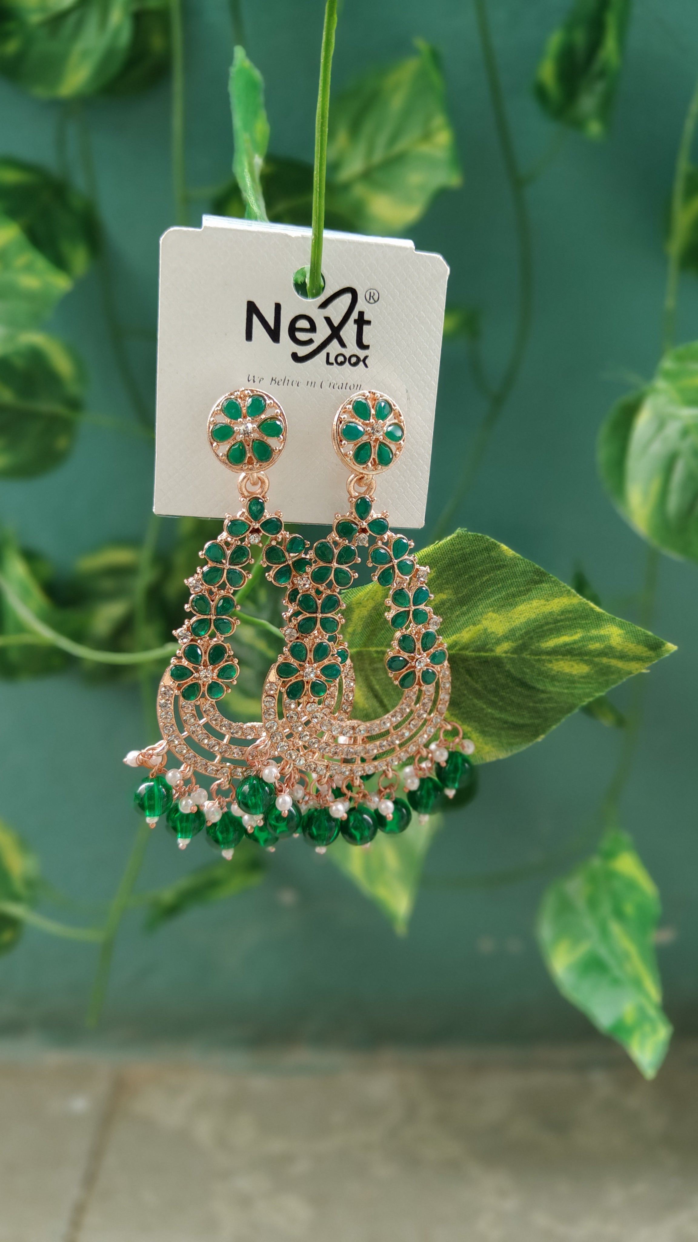 Earrings